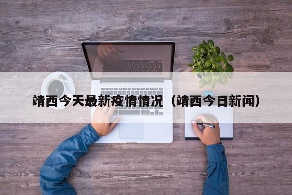 靖西两男子带外籍人员非法入境,此行为造成了怎样严重的后果？