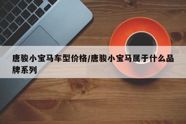 唐骏小宝马车型价格／唐骏小宝马属于什么品牌系列