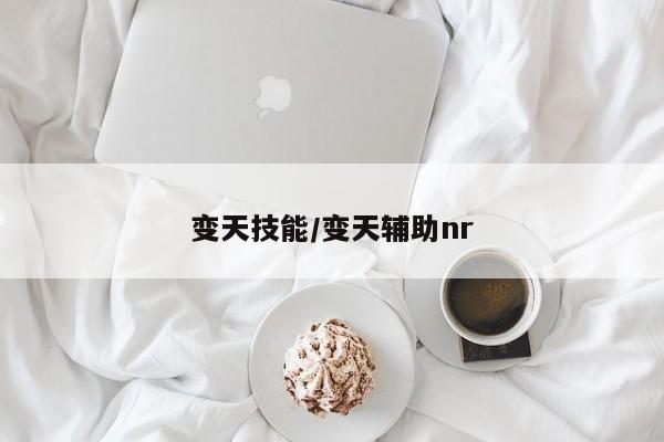 变天技能／变天辅助nr