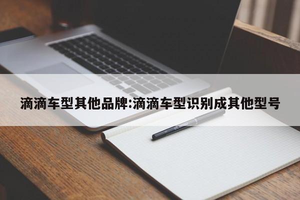 滴滴车型其他品牌：滴滴车型识别成其他型号