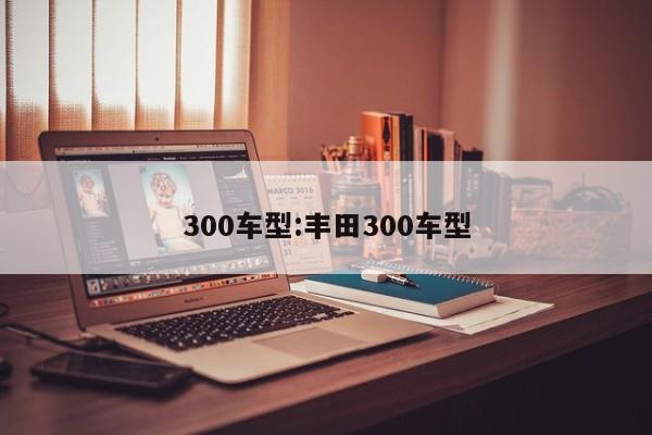 300车型：丰田300车型