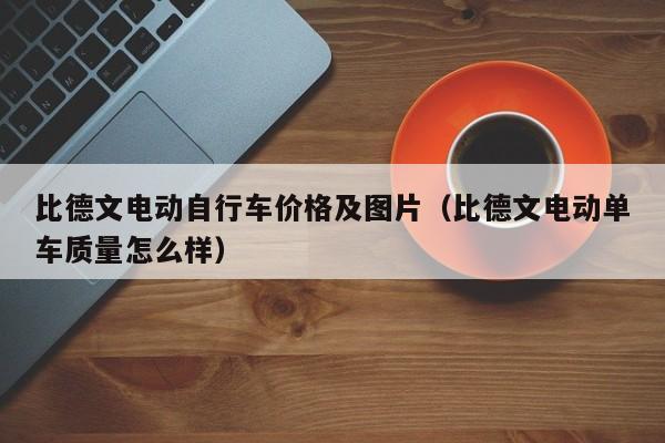 比德文电动自行车价格及图片（比德文电动单车质量怎么样）